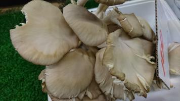 20181006