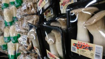 20181208-1@T̔ł-24