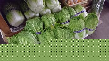 20181222-1