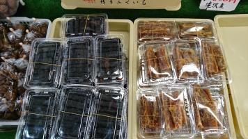 20190119-1@T̔-11