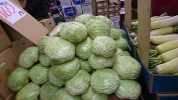 20190119-1@T̔-23