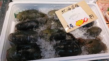 20190119-1@T̔-39