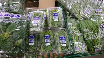 20190126-1@T̔-26