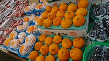 20190126-1@T̔-27