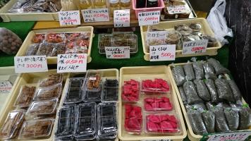 20190126-1@T̔-29