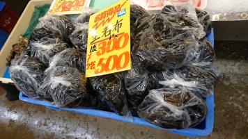 20190126-1@T̔-55