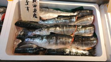 20190126-1@T̔-61