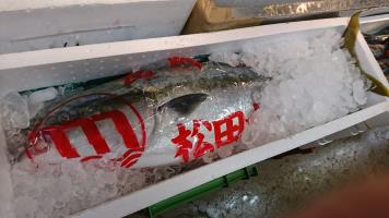 20190126-1@T̔-4