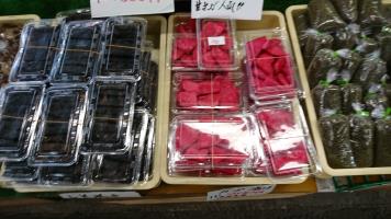20190202-1@T̔ł-7