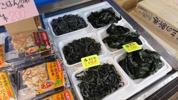 20190209-1@T̔ł-22