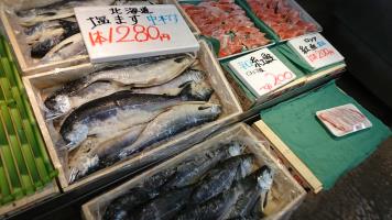 20190209-1@T̔ł-25