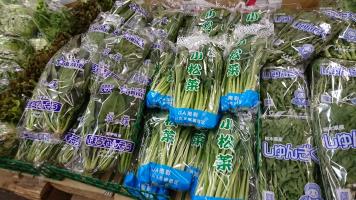 20190216-1@T̔ł-29