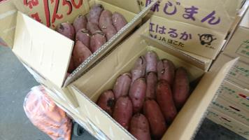 20190216-1@T̔ł-44