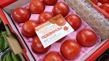 20190216-1@T̔ł-53