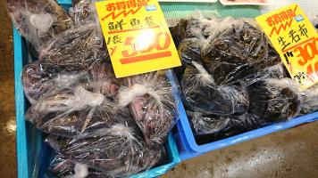 20190216-1@T̔ł-4
