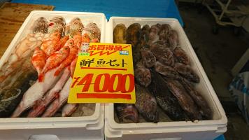 20190216-1@T̔ł-5