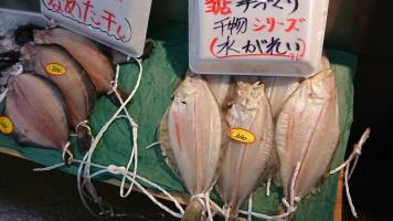 20190216-1@T̔ł-11