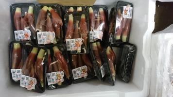 20190406-1@T̔ł-34