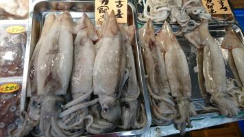 20190504-1@T̔ł-35