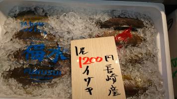 20190504-1@T̔ł-40