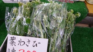 20190511-1@T̔ł-30