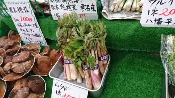 20190511-1@T̔ł-31