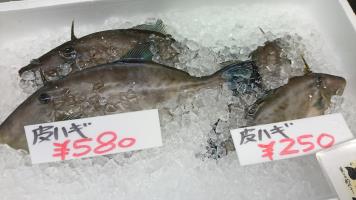 20190511-1@T̔ł-76