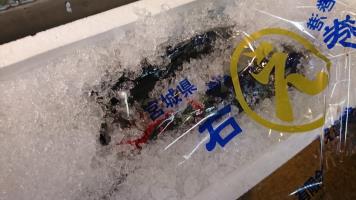 20190511-1@T̔ł-98