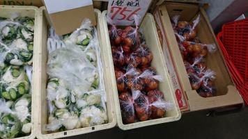 20190518-1@T̔ł-34