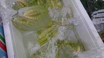 20190601-1@T̔ł-9