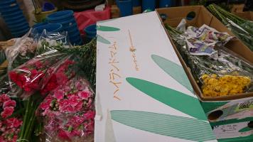 20190601-1@T̔ł-25