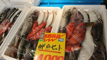 20190601-1@T̔ł-40