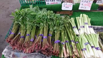 20190608-1@T̔ł-11