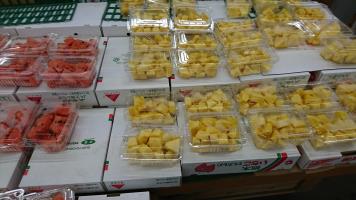 20190608-1@T̔ł-15