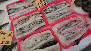 20190608-1@T̔ł-45