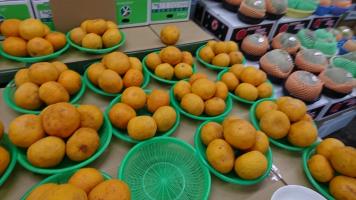 20190629-1@T̔ł-26