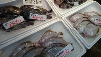20190629-1@T̔ł-50