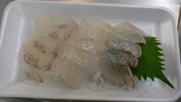 20190629-1@T̔ł-53