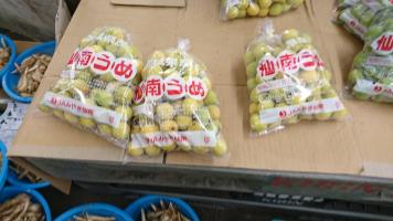 20190706-1@T̔ł-18