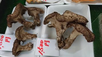 20191012-1