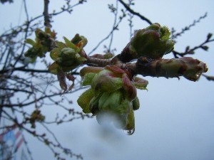 2009/04/26 �劘����_14