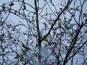 2009/04/26 �劘����_16