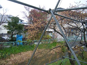 2009/04/26 �劘����_17
