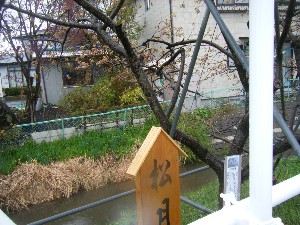 2009/04/26 �劘����_18