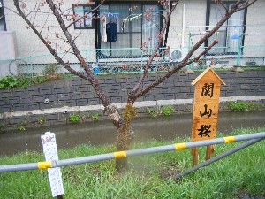 2009/04/26 �劘����_23