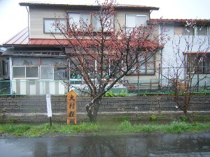 2009/04/26 �劘����_26