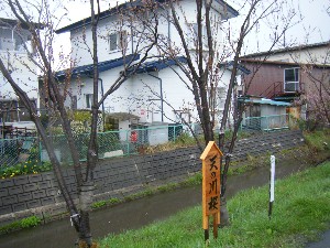 2009/04/26 �劘����_30