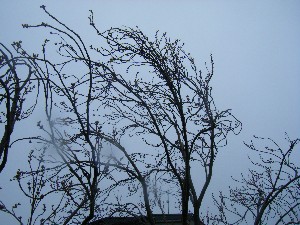 2009/04/26 �劘����_31