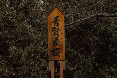 20130430  劘̍_3