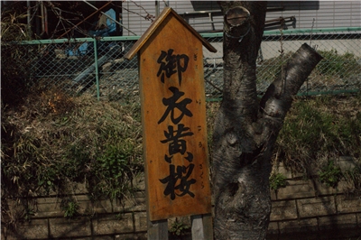 20130430  劘̍_5